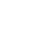 northern 99 logo